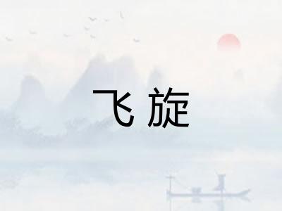 飞旋