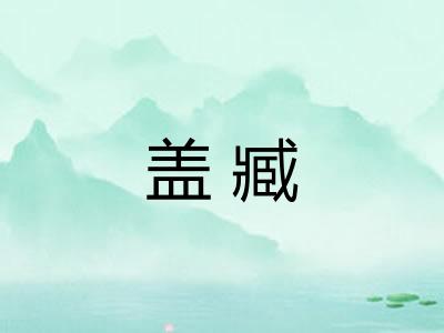 盖臧