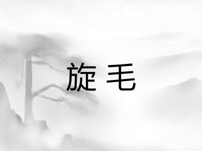 旋毛