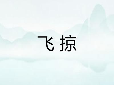 飞掠