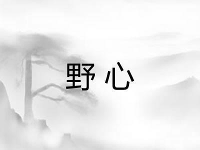野心