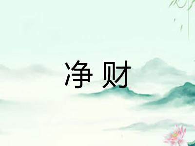 净财