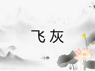 飞灰