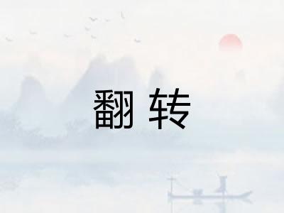 翻转