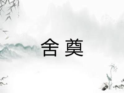 舍奠