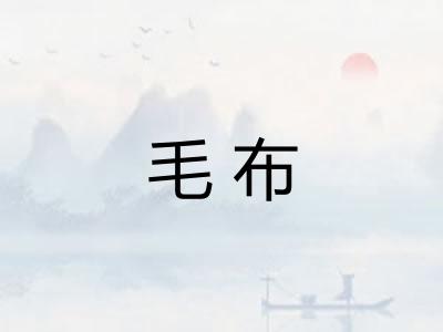毛布