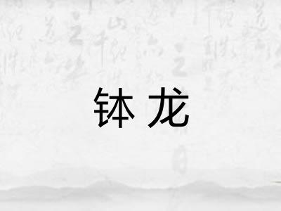 钵龙