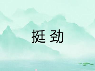 挺劲