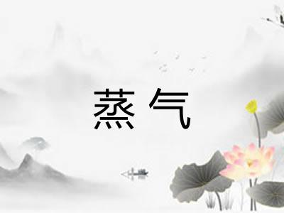 蒸气