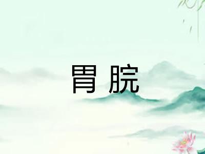 胃脘