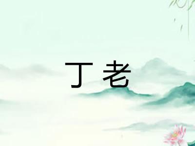 丁老