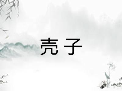 壳子