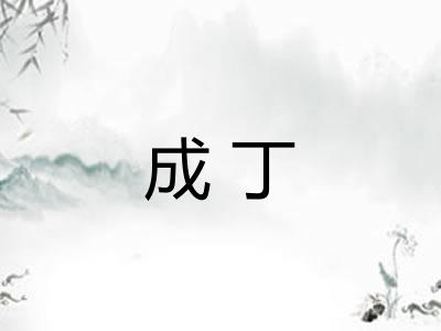 成丁 成丁