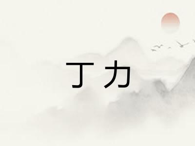 丁力