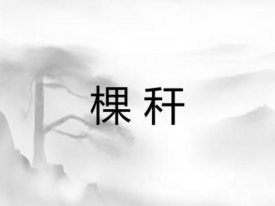 棵秆