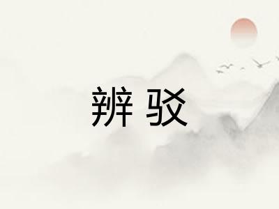 辨驳