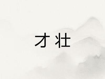 才壮