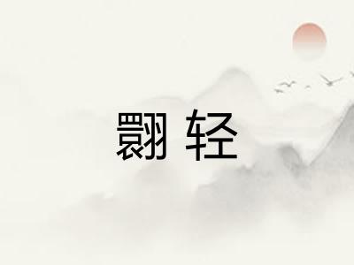 翾轻