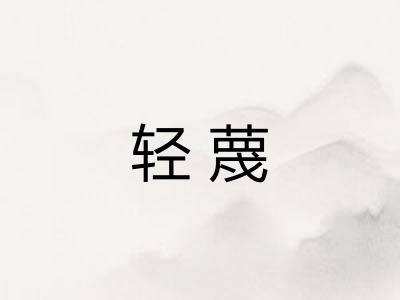 轻蔑
