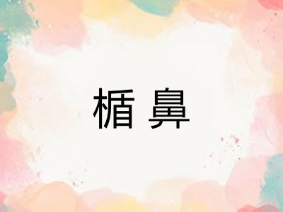 楯鼻