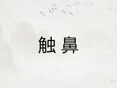 触鼻