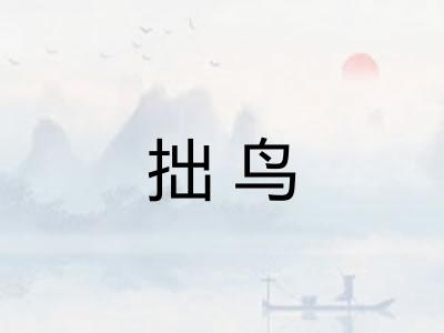 拙鸟
