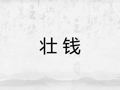壮钱