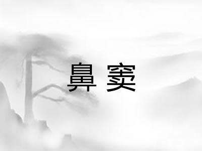 鼻窦