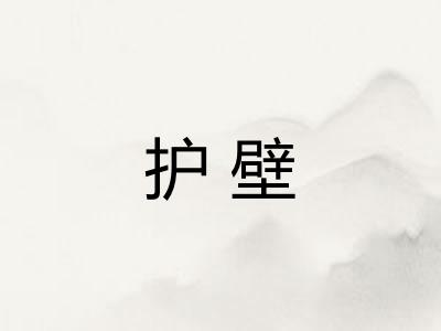 护壁