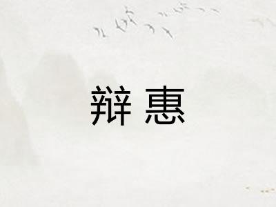 辩惠