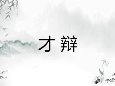 才辩