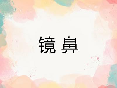 镜鼻