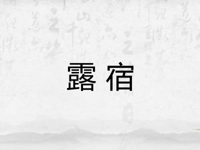 露宿