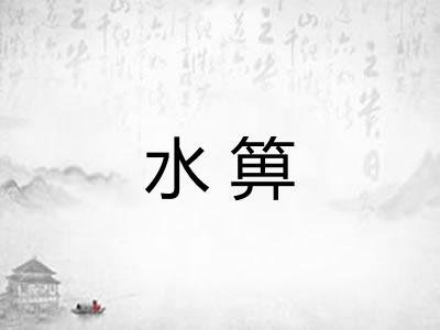 水箅