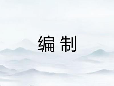 编制
