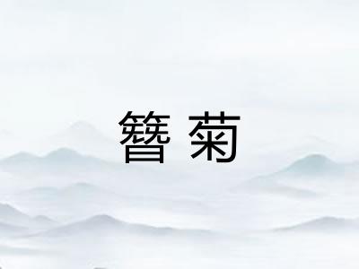 簪菊