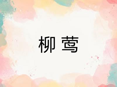 柳莺