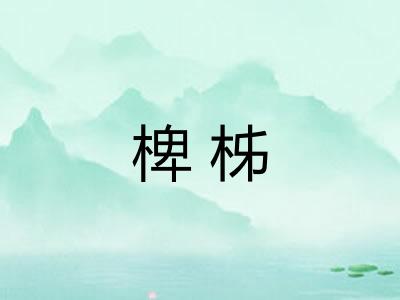 椑柹