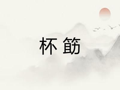 杯筯
