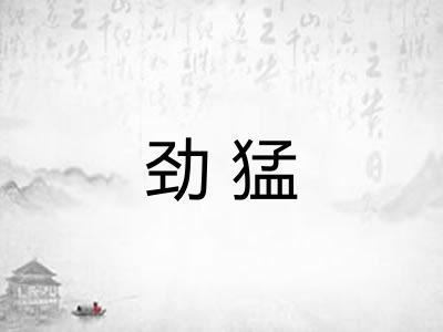 劲猛