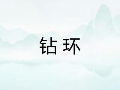 钻环