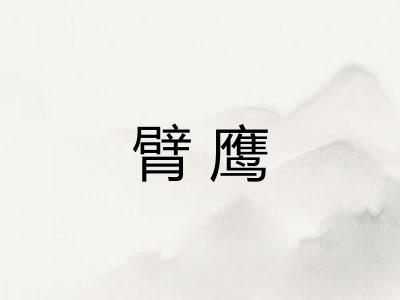 臂鹰