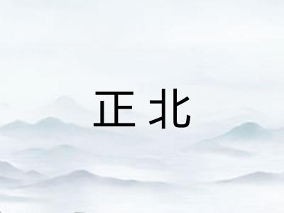 正北
