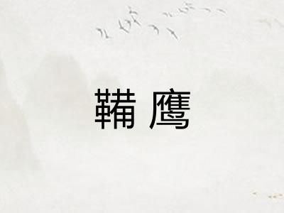 鞴鹰