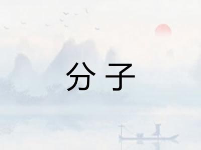 分子