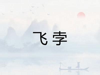 飞孛