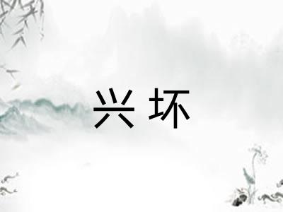 兴坏
