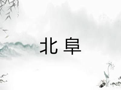 北阜