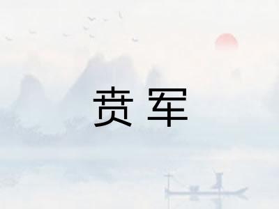 贲军