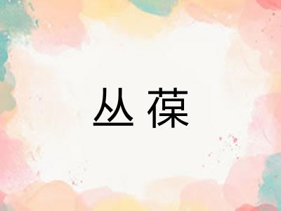 丛葆